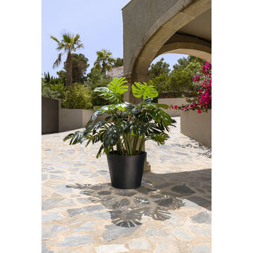 Bucket M, Black