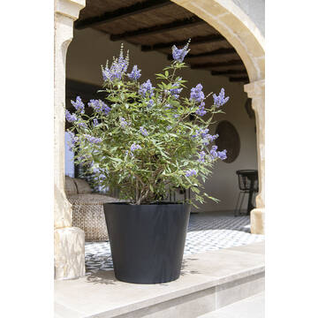 Bucket M, Black
