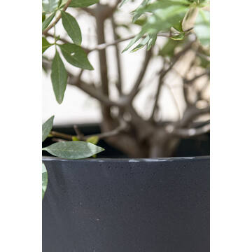 Bucket M, Black