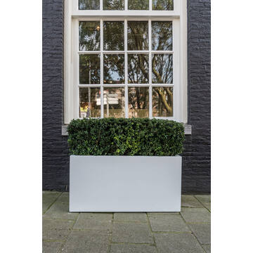 Jort M, Matte White