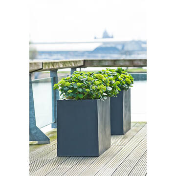 Jort L, Black