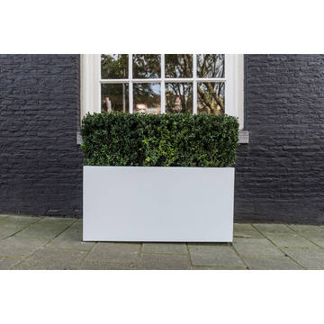 Jort L, Glossy White