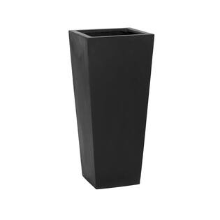 Beau L, Black