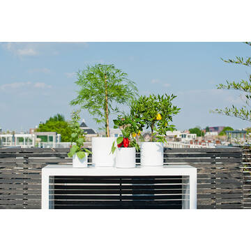 Max M, Glossy White