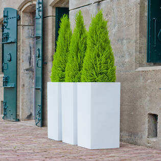 Bouvy L, Glossy White