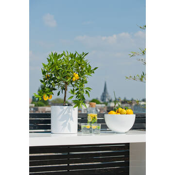 Puk M, Glossy White