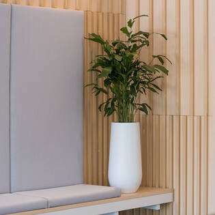 Nax M, Matte White