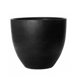 Jumbo Jesslyn L, Black