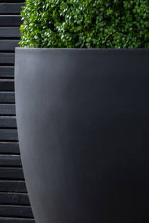 Jumbo Jesslyn L, Black
