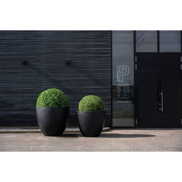 Jumbo Jesslyn L, Black
