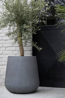 Pax XL, Grey