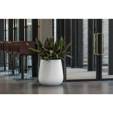 Pax XL, Matte White