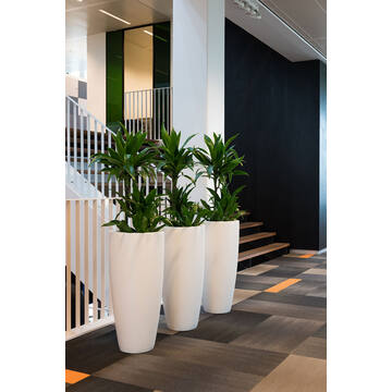 Dax XL, Matte White