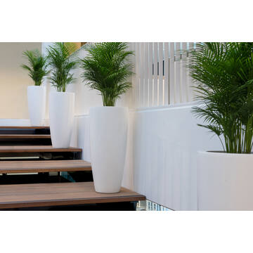 Dax XL, Matte White