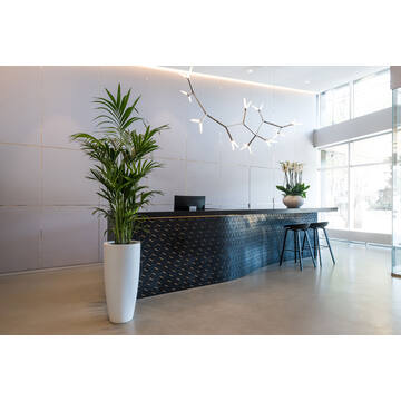 Dax L, Matte White