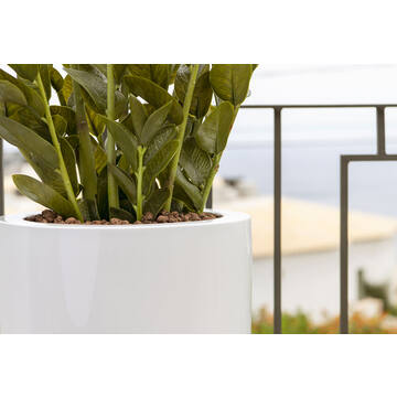 Dax L, Glossy White