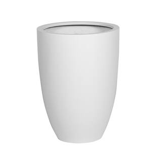 Ben L, Matte White