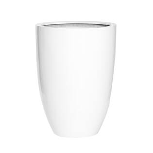 Ben L, Glossy White