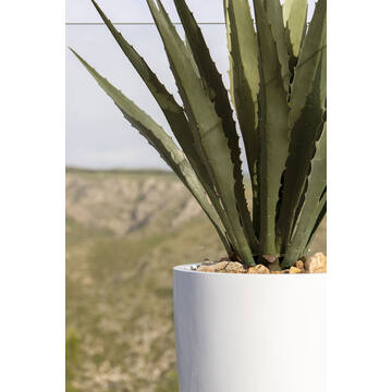 Ben XL, Glossy White