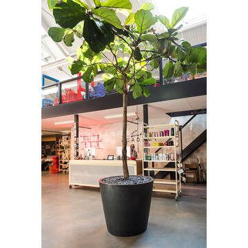 Jumbo Bucket M, Black