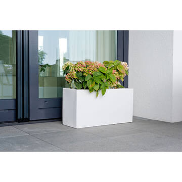 Jort S, Glossy White