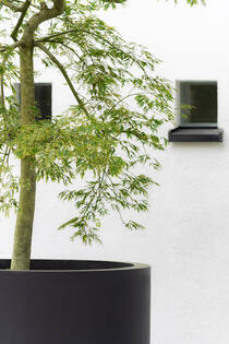 Jumbo Max XL, Black