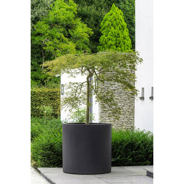 Jumbo Max L, Black