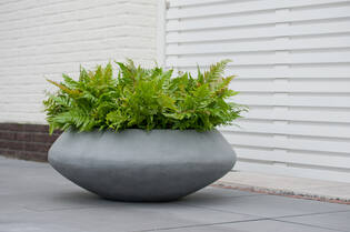 Tara XL, Grey