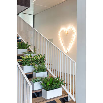 Balcony S, Matte White