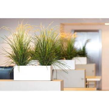 Balcony XS, Glossy White