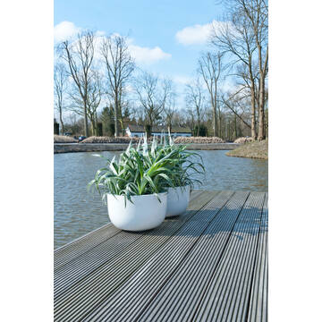Sunny L, Glossy White