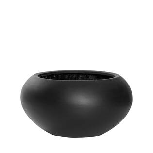 Cora S, Black