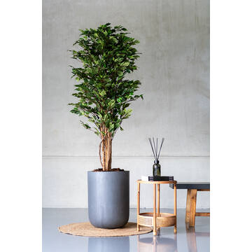 Dice XL, Grey