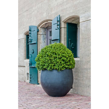 Jumbo Orb S, Black
