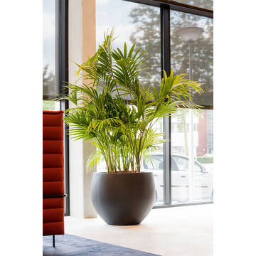 Jumbo Orb S, Grey