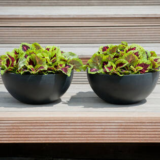 Vic Bowl S, Black