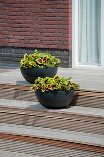Vic Bowl S, Black