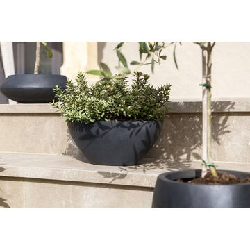 Dorant XS, Black