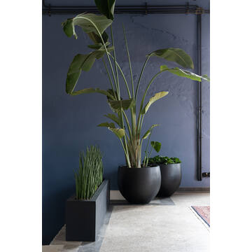 Orb M, Black