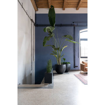 Orb L, Black