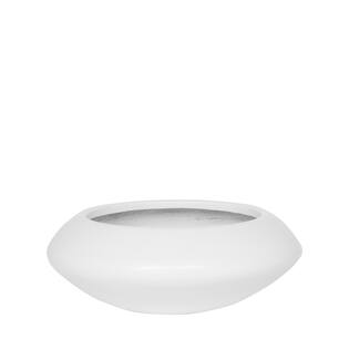 Tara S, Matte White