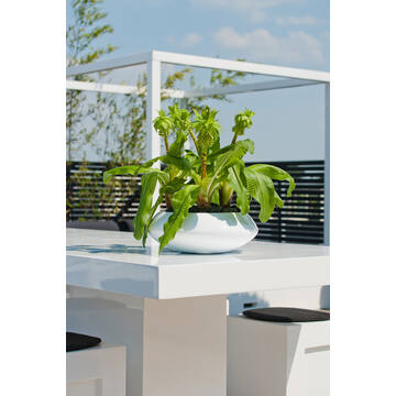 Tara S, Glossy White