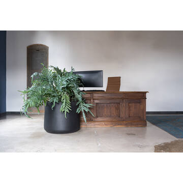 Patt S, Black
