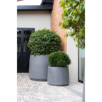 Patt M, Grey