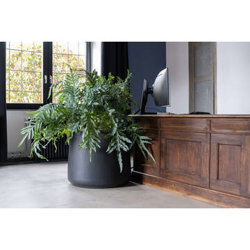 Jumbo Patt S, Black