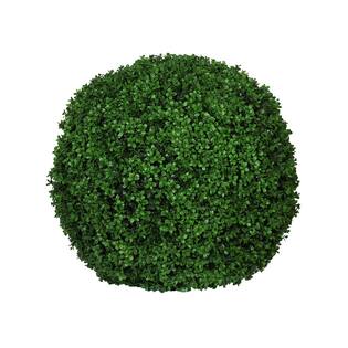 Boxwood Round M, Green