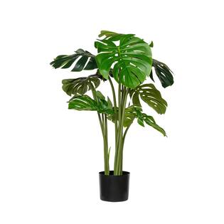 Monstera XXL, Green