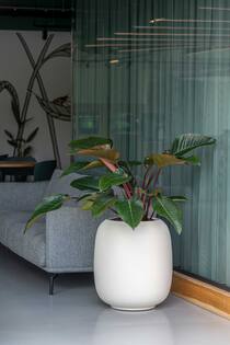 Sphere L, Silk White