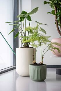 Arcus S, Sage Green