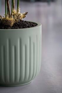 Arcus S, Sage Green